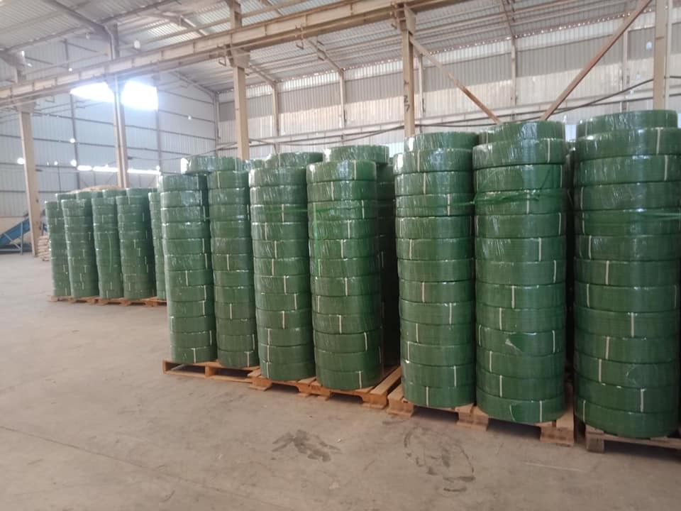 sản xuất dây đai pet